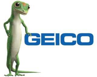 GEICO Texas Insurance Partner